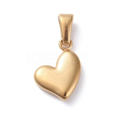 304 Stainless Steel Charms X-STAS-I127-068G-1