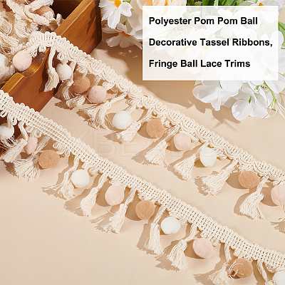 5M Polyester Pom Pom Ball Decorative Tassel Ribbons OCOR-OC0001-47-1