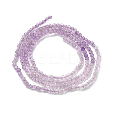 Natural Lavender Amethyst Beads Strands G-Z121-A01-2mm-1