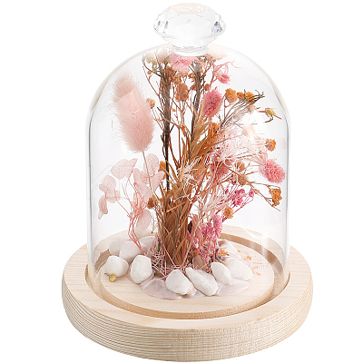 1Pc Glass Dome Cover AJEW-SC0002-61B-1