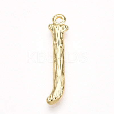 304 Stainless Steel Pendants LS-STAS-N117-01G-J-1