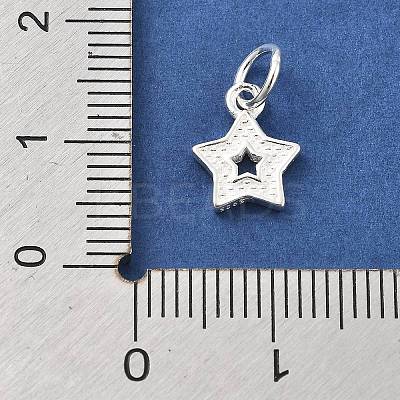 925 Sterling Silver Charms STER-S009-07C-S-1