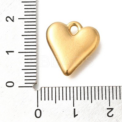 Ion Plating(IP) 304 Stainless Steel Pendants STAS-I321-75G-1