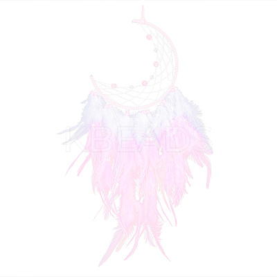 Iron Woven Web/Net with Feather Pendant Decorations LS-AJEW-P097-02-1