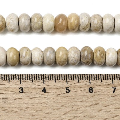 Natural Fossil Coral Beads Strands G-A280-A08-02-1