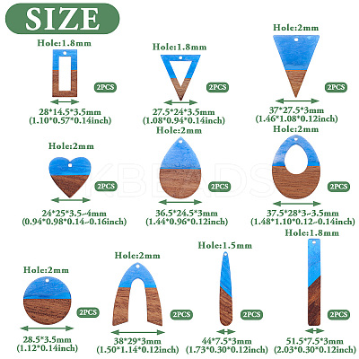 20Pcs 10 Styles Transparent Resin & Walnut Wood Pendants RESI-TA0003-21-1