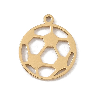 304 Stainless Steel Pendants LS-STAS-B062-06G-1