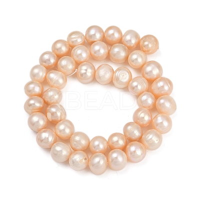 Natural Cultured Freshwater Pearl Beads Strands PEAR-I007-07Z-04B-1