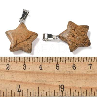 Natural Picture Jasper Pendants G-B127-12P-06-1