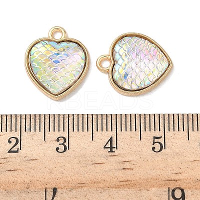 Alloy Resin Pendants FIND-C074-12KCG-1