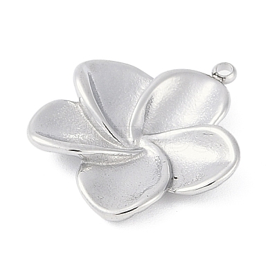 Non-Tarnish 304 Stainless Steel Pendants STAS-L022-420P-1