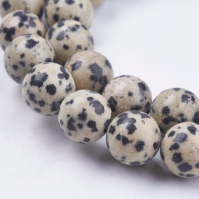 Natural Dalmatian Jasper Stone Bead Strands G-R193-14-10mm-1