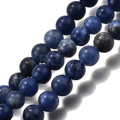 Natural Sodalite Round Bead Strands G-P072-27-4mm-1