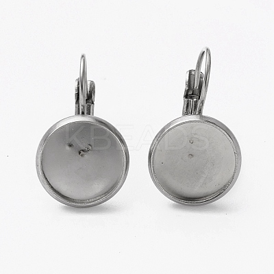 Tarnish Resistant 304 Stainless Steel Leverback Earring Findings LS-STAS-L253-005D-P-1