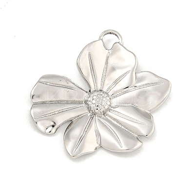 Non-Tarnish 304 Stainless Steel Pendants STAS-A099-23P-1