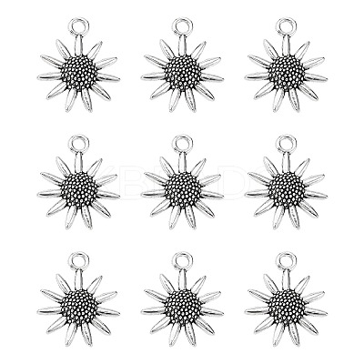 Tibetan Style Alloy Pendant LS-LF8977Y-1