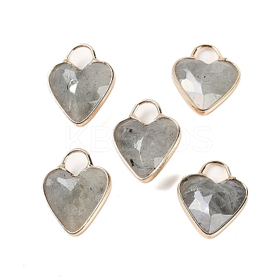 Natural Labradorite Faceted Pendans KK-L218-005G-03-1