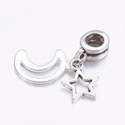 Tibetan Style Alloy European Dangle Charms X-PALLOY-JF00331-1