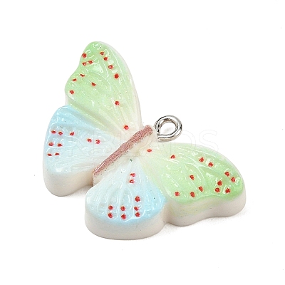 Opaque Resin Pendants RESI-I351-01P-1