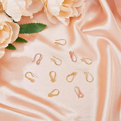 10 Pairs 2 Colors Rack Plating Brass Earring Hooks EJEW-FH0001-05-1