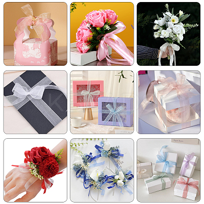 1 Rolls Sheer Organza Ribbon SRIB-CY0001-22A-02-1