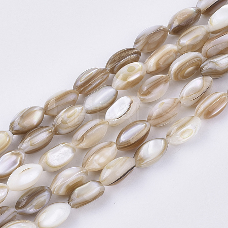 Freshwater Shell Beads Strands X-SHEL-S276-34B-1