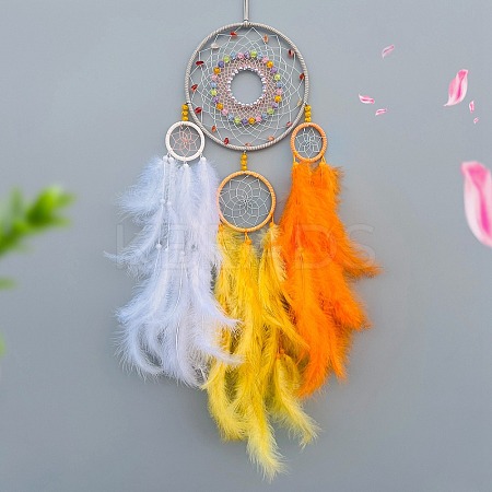 Woven Web/Net with Feather Decorations PW-WG21777-04-1