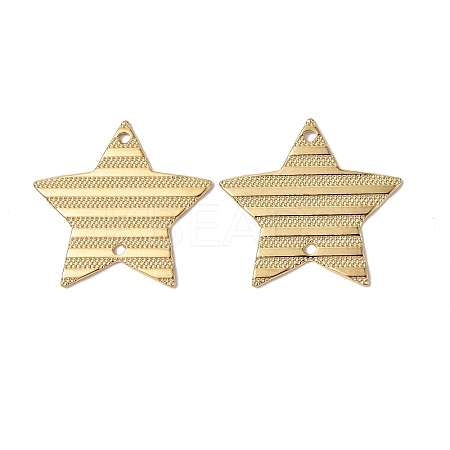 Ion Plating(IP) 304 Stainless Steel Connector Charms LS-STAS-C066-07G-1