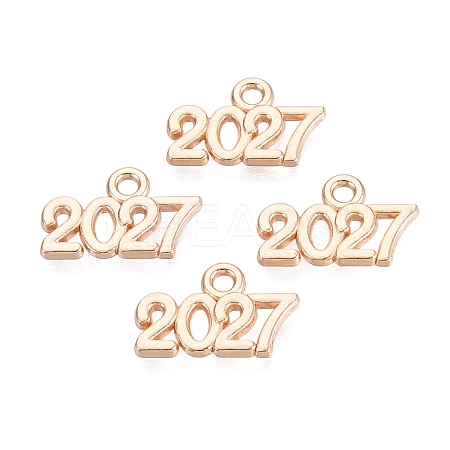 New Year's Day Alloy Charms FIND-N014-01KCG-1