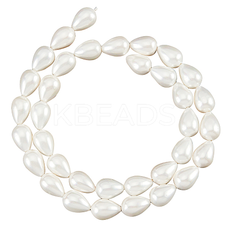 1 Strands Natural Shell Beads Strands BSHE-NB0001-25-1