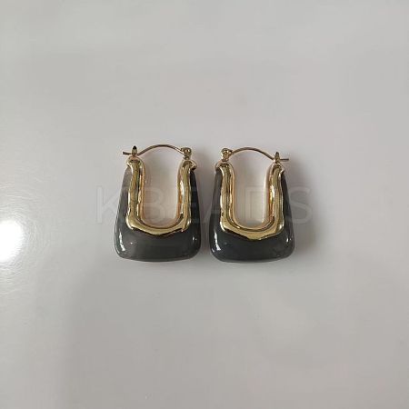 Zinc Alloy Resin Hoop Earrings FS-WG1C3F9-02-1