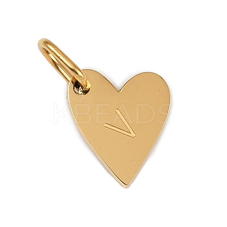 304 Stainless Steel Charms LS-STAS-L291-01G-V-1