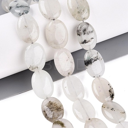 Dyed Natural White Jade Beads Strands G-N370-01A-18-1