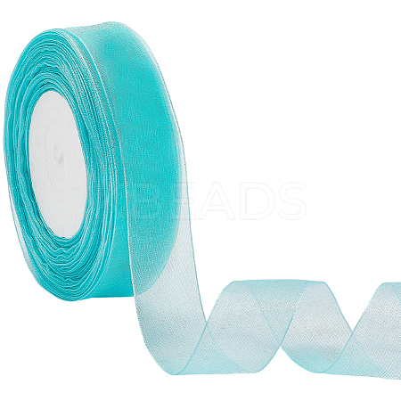 1 Rolls Sheer Organza Ribbon SRIB-CY0001-22A-06-1