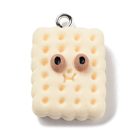 Cookies Theme Imitation Food Resin Pendants X-RESI-B021-02C-05-1