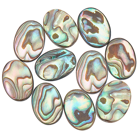 10Pcs Natural Paua Shell Cabochons FIND-BC0005-54-1