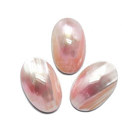 Natural Shell Cabochons SHEL-K008-07B-1
