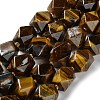 Natural Tiger Eye Beads Strands G-C182-27-02-1