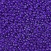 MIYUKI Round Rocailles Beads SEED-X0054-RR0176-3