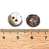 Abalone Shell/Paua Shell BSHE-I011-04D-3