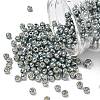 TOHO 6/0 Round Beads SEED-XTR06-PF0565-1