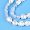 Natural Blue Lace Agate Nuggets & Natural Cultured Freshwater Pearl Beads Strands PEAR-N023-01A-04-4