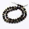 Natural Golden Sheen Obsidian Beads Strands G-K209-02I-6mm-2