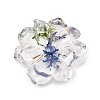 Transparent Resin Cabochons RE-CBA7537-01B-1