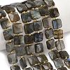 Natural Labradorite Beads Strands G-L642-L02-10mm-1