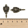 Tibetan Style Alloy Pendants FIND-C043-015AB-3