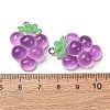 Fruit Theme Opaque Resin Imitation Food Pendants RE-CBA49A8-04G-3