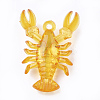 Transparent Acrylic Pendants X-TACR-S149-02-3