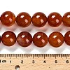 Dyed Natural Carnelian Beads Strands G-G203-10N-14mm-5