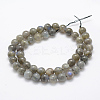 Natural Labradorite Beads Strands LS-G-P322-31-8mm-2